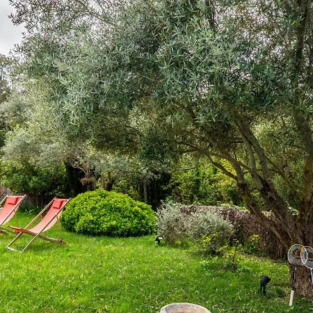 Altimare - Pool Terrace Relaxing - By Tgb Vila Pietrosella